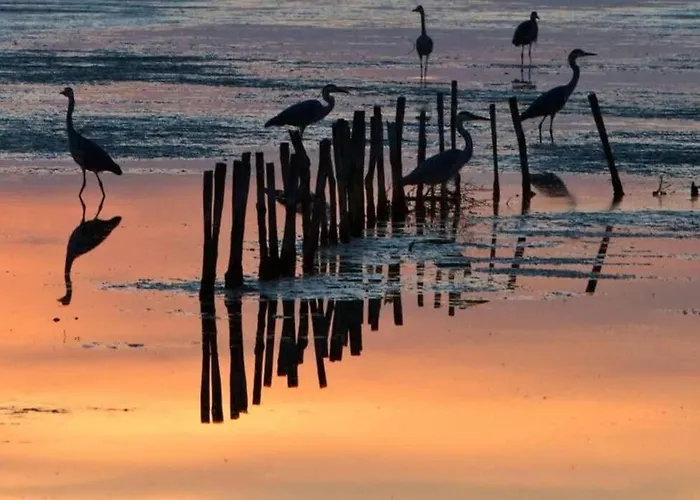 펜션 La Du Fier Pretty House For Up To 6 People Les Portes-en-Re